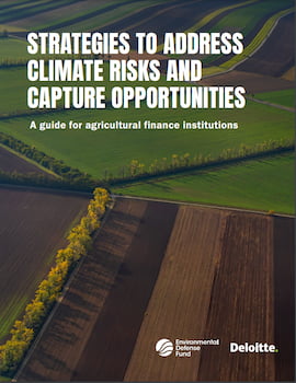 Cover image of PDF report
